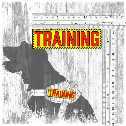 "TRAINING". Patches for dog harnesses. Supplied as a SINGLE item so you can mix and match.