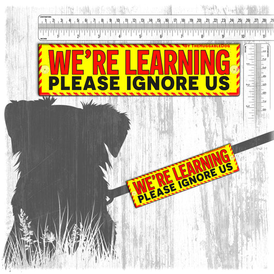 "We are LEARNING, please ignore us". Warning leash sleeves.