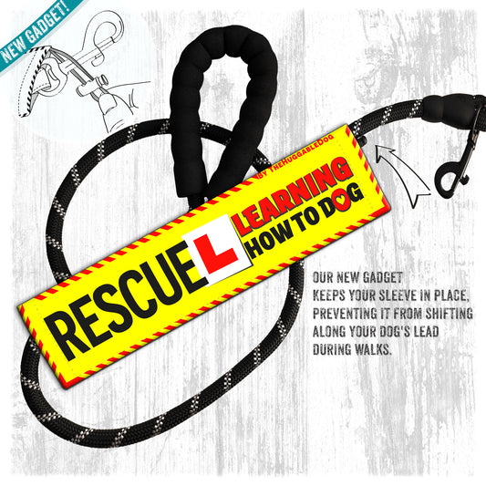 17-"RESCUE, learning to be dog".