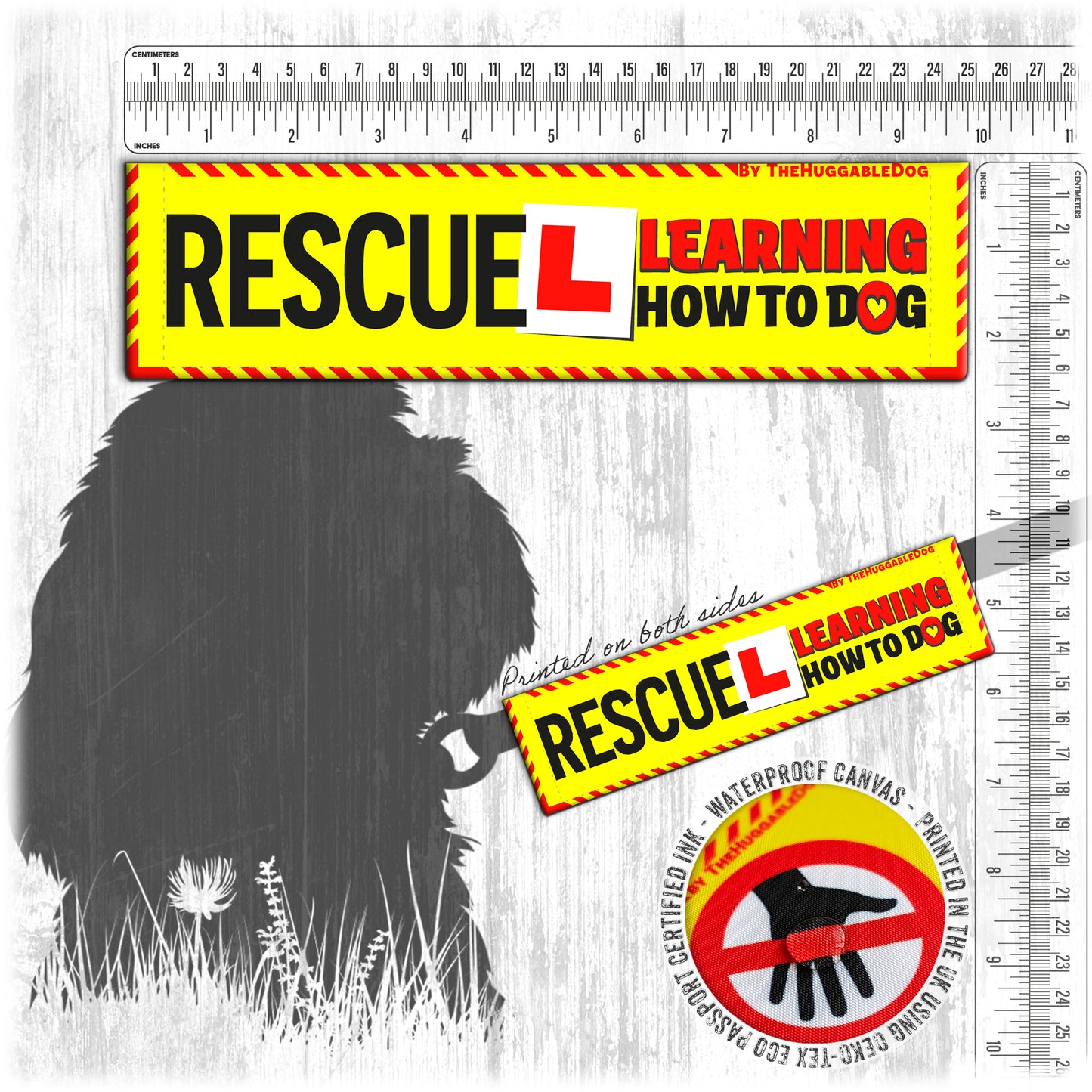17-"RESCUE, learning to be dog".