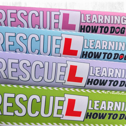 17-"RESCUE, learning to be dog".