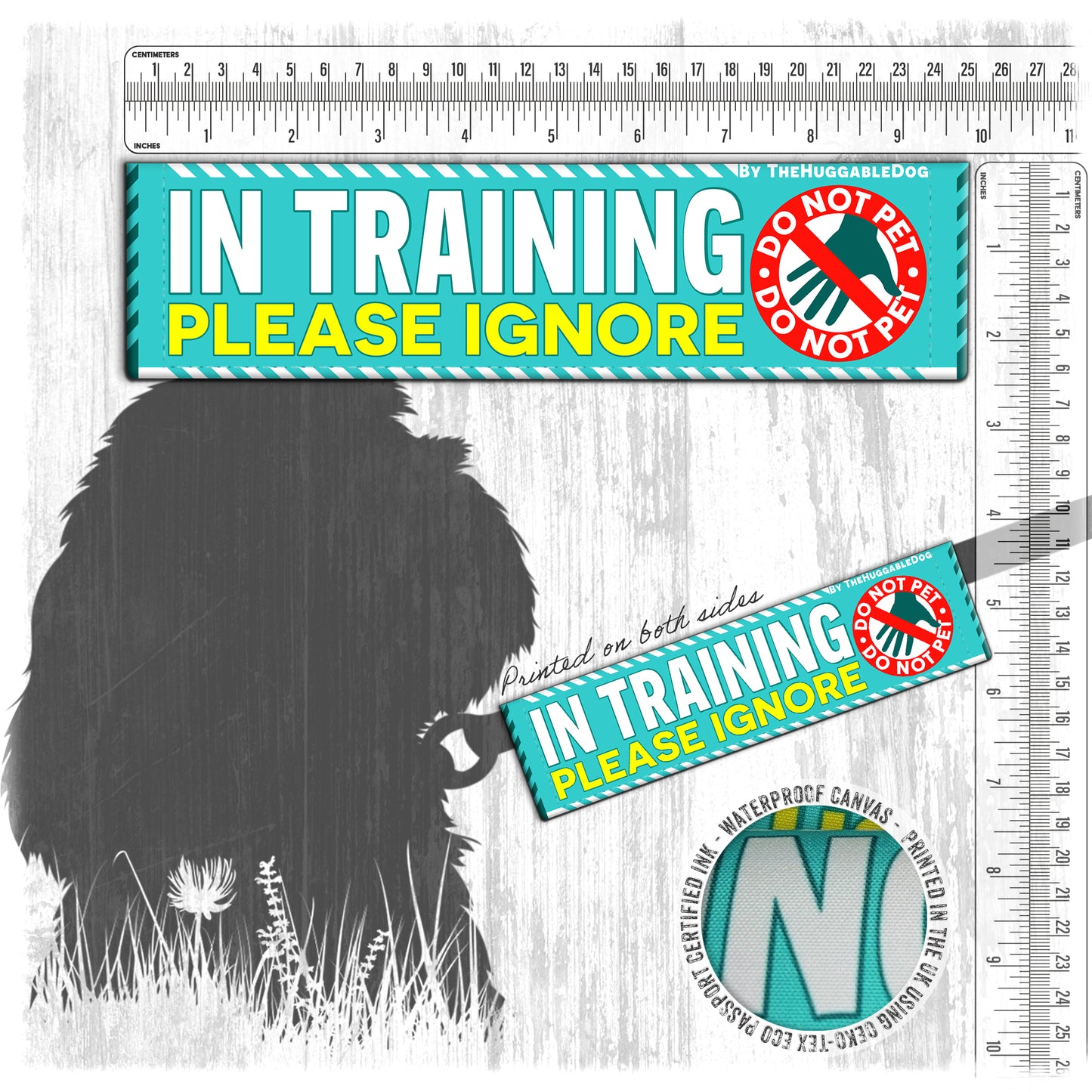 20-"In TRAINING, please ignore".
