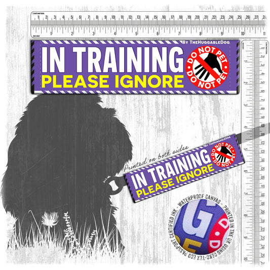 18-"In TRAINING, please ignore".