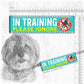 20-"In TRAINING, please ignore".