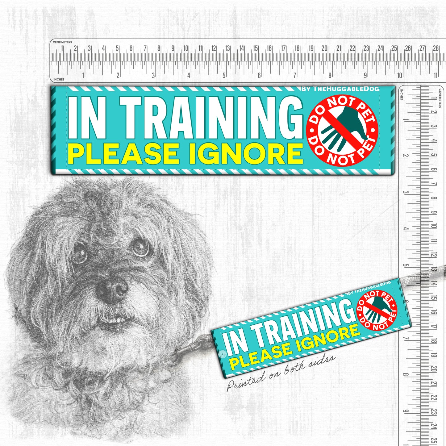 20-"In TRAINING, please ignore".