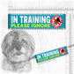 20-"In TRAINING, please ignore".