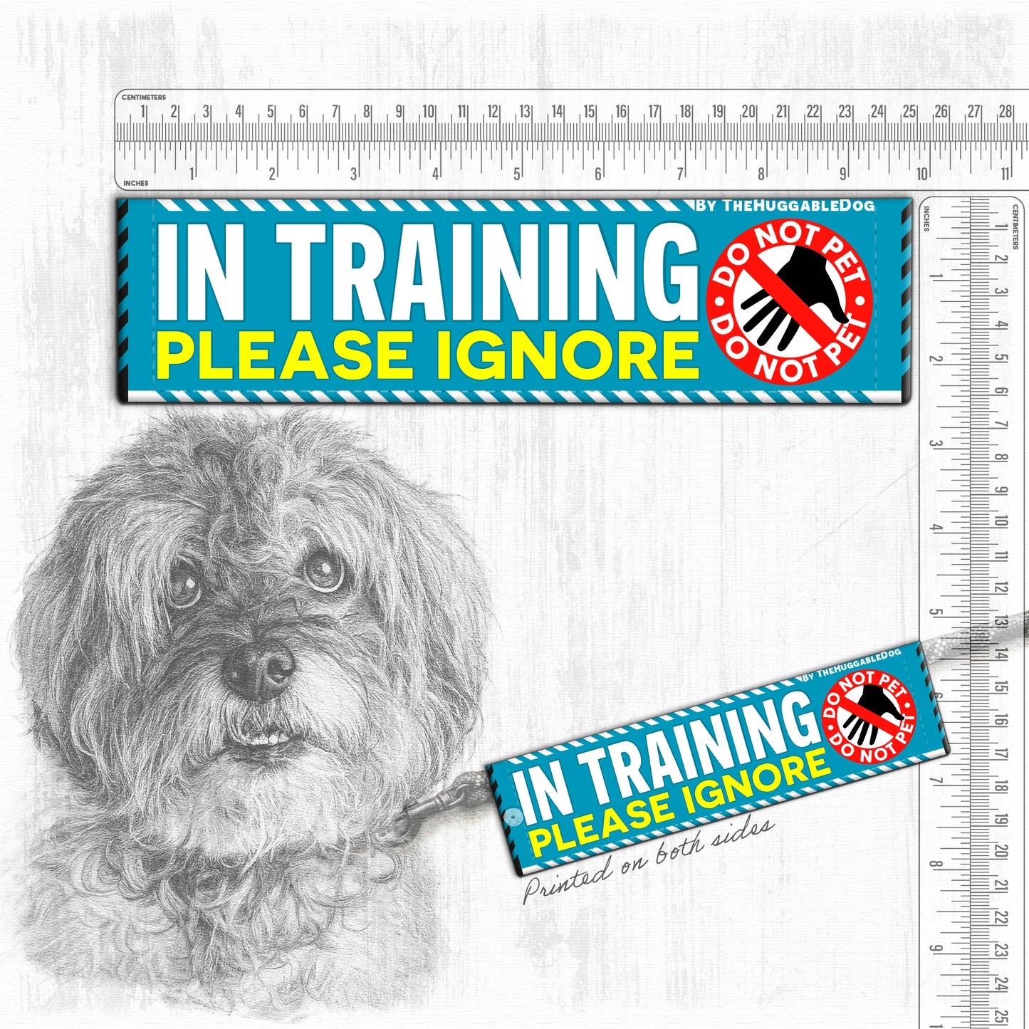 20-"In TRAINING, please ignore".