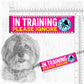 20-"In TRAINING, please ignore".