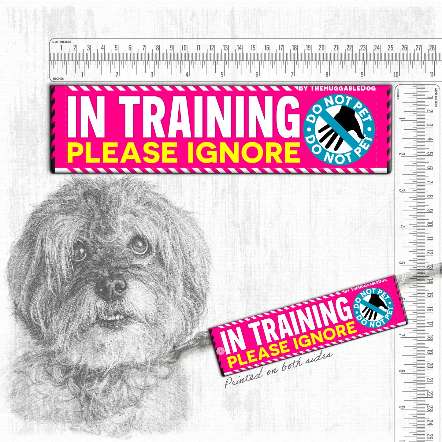 20-"In TRAINING, please ignore".