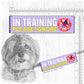 20-"In TRAINING, please ignore".