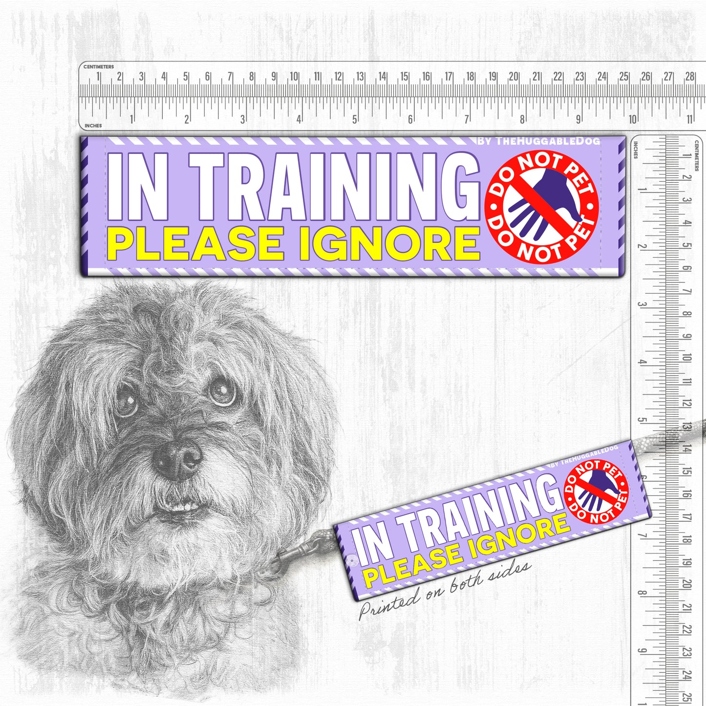 20-"In TRAINING, please ignore".