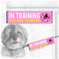 20-"In TRAINING, please ignore".