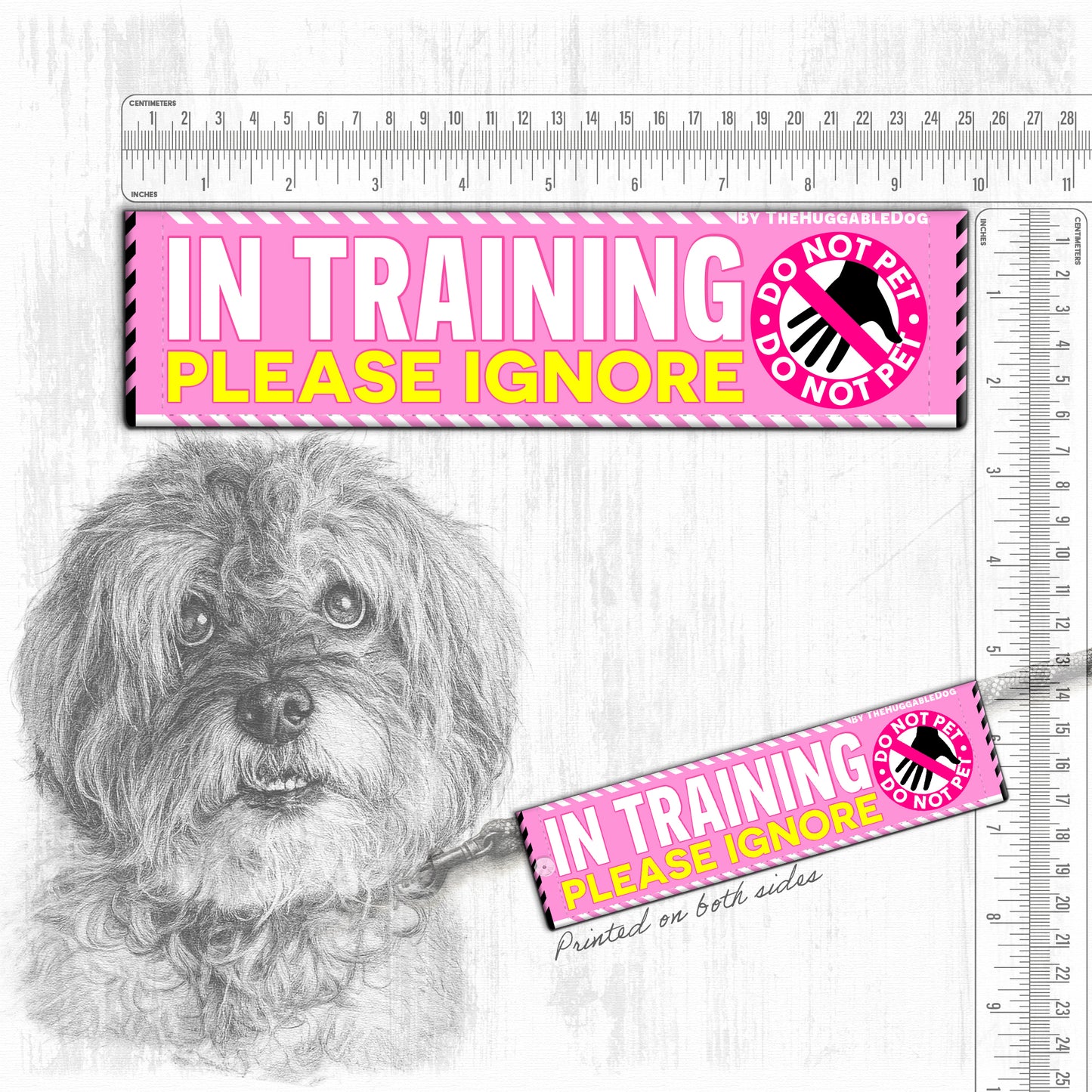 20-"In TRAINING, please ignore".