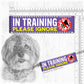 20-"In TRAINING, please ignore".