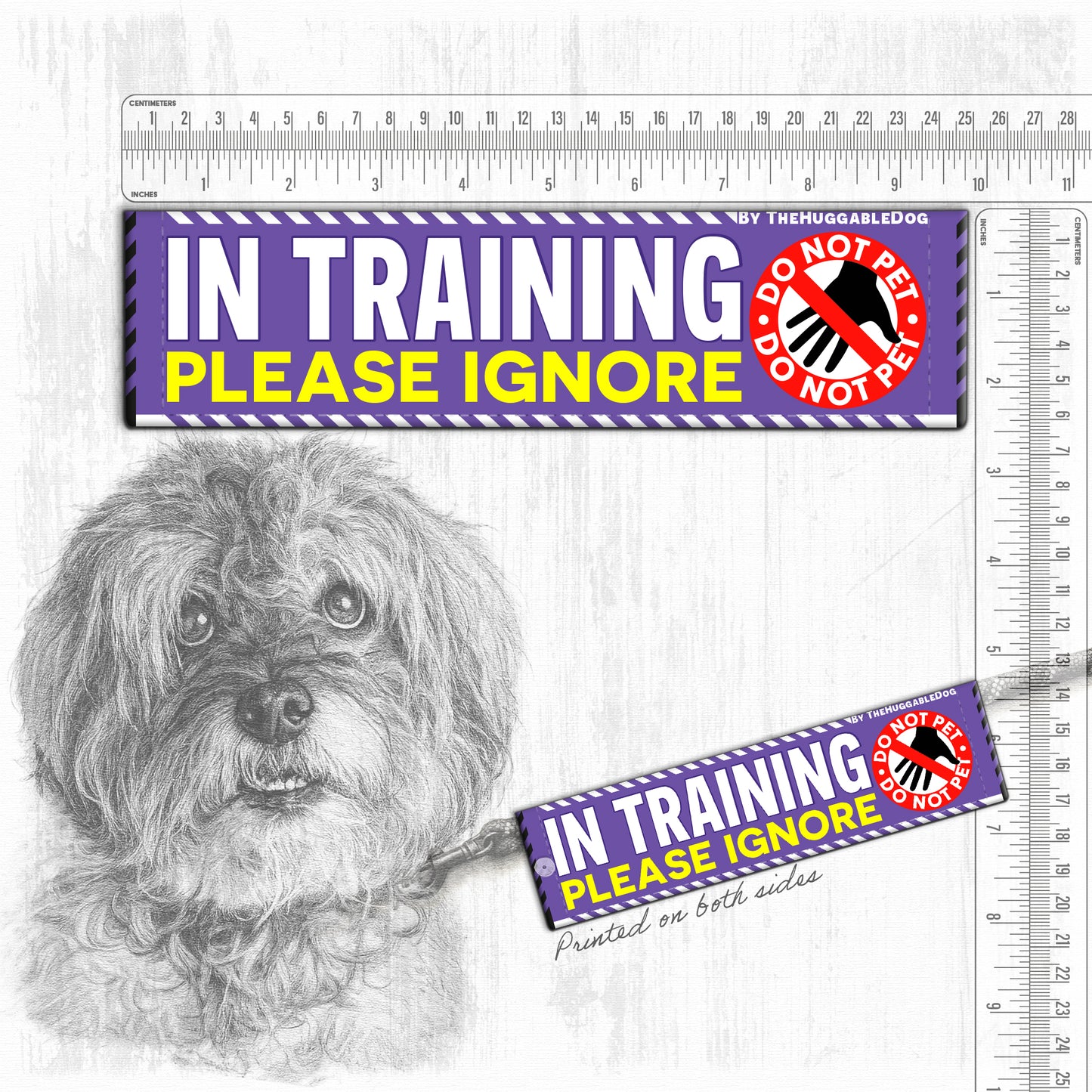 20-"In TRAINING, please ignore".