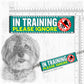 20-"In TRAINING, please ignore".