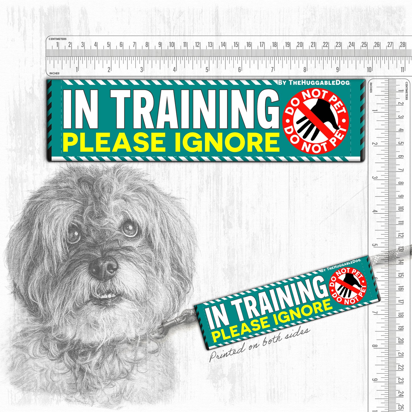 20-"In TRAINING, please ignore".