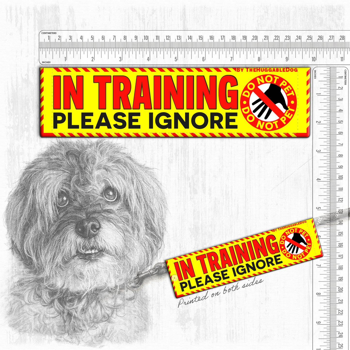 20-"In TRAINING, please ignore".