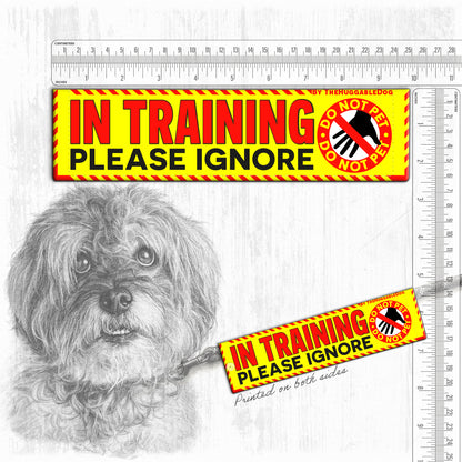 20-"In TRAINING, please ignore".