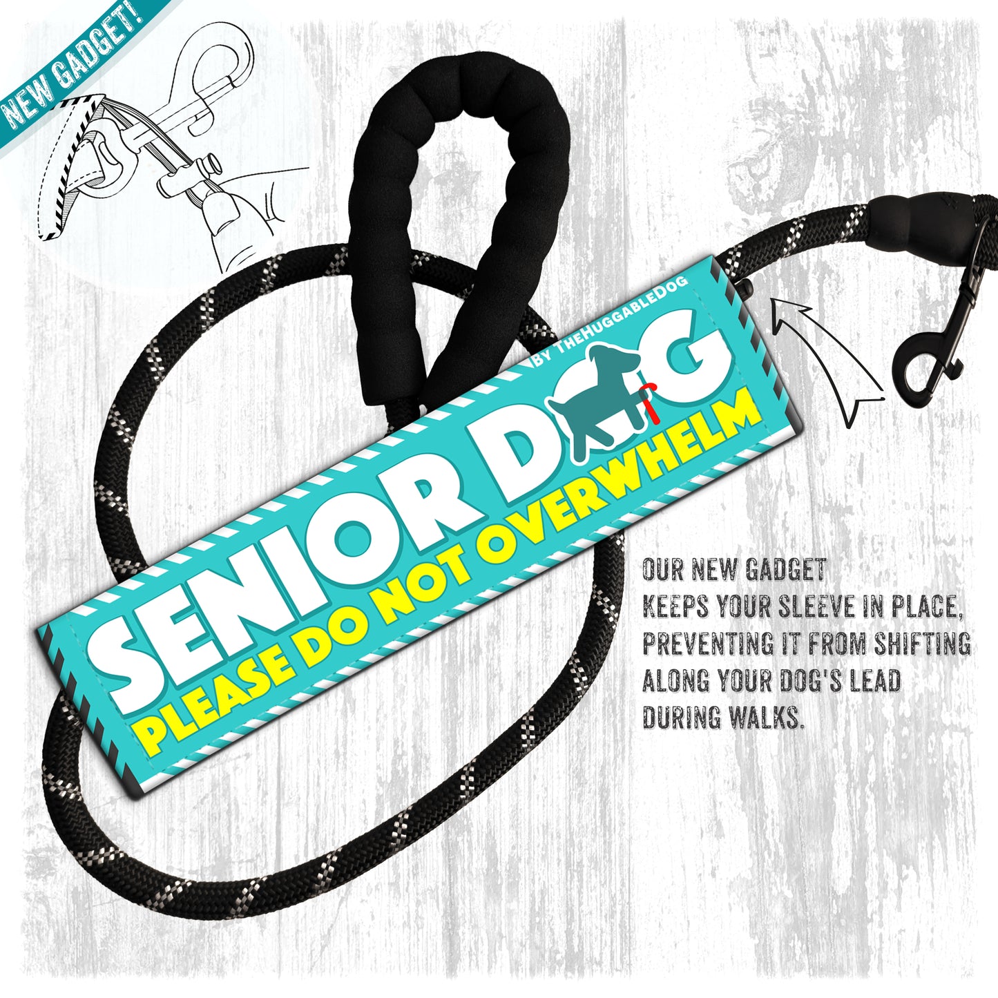 "Senior Dog, please do not overwhelm".