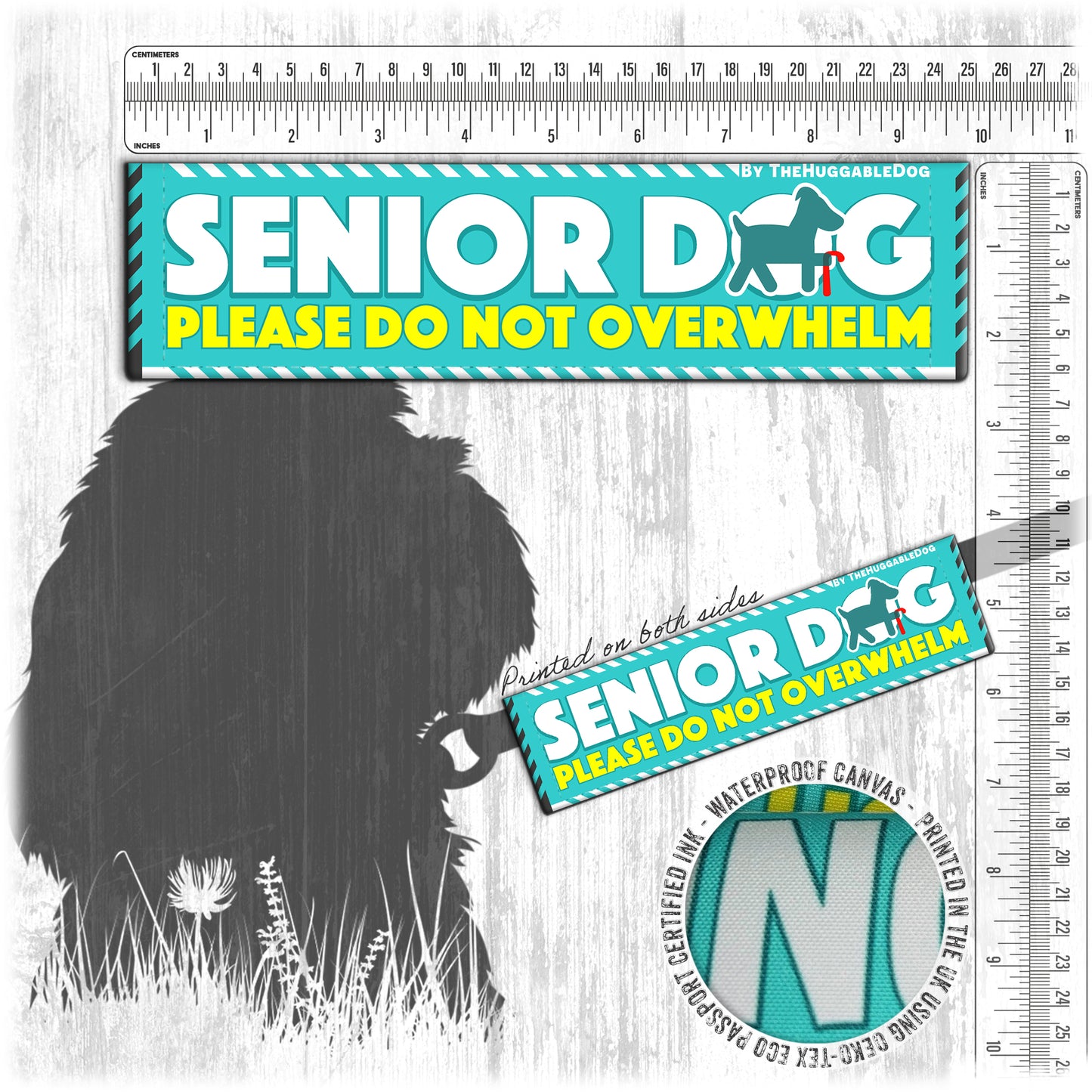 "Senior Dog, please do not overwhelm".