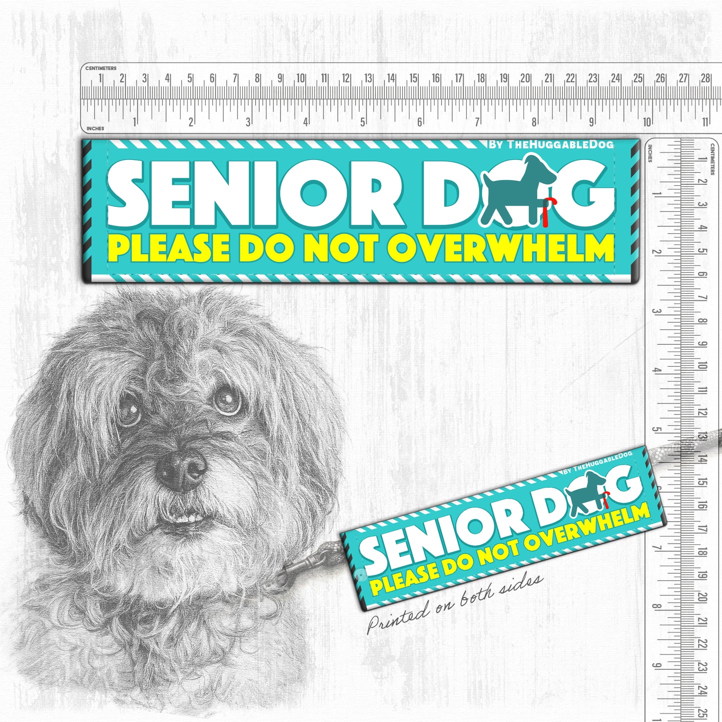 "Senior Dog, please do not overwhelm".