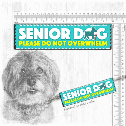 "Senior Dog, please do not overwhelm".