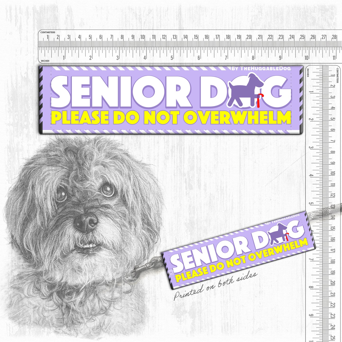 "Senior Dog, please do not overwhelm".