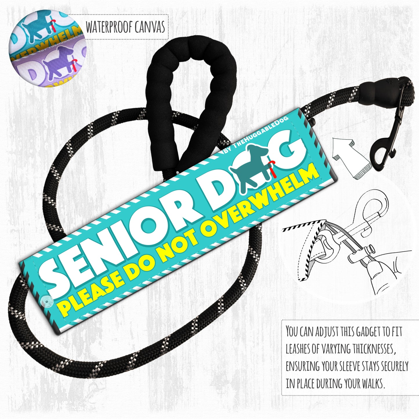 "Senior Dog, please do not overwhelm".