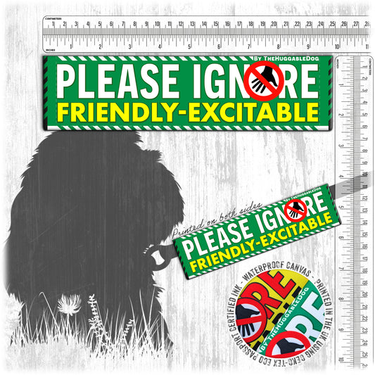 202-"Please ignore, FRIENDLY-excitable".