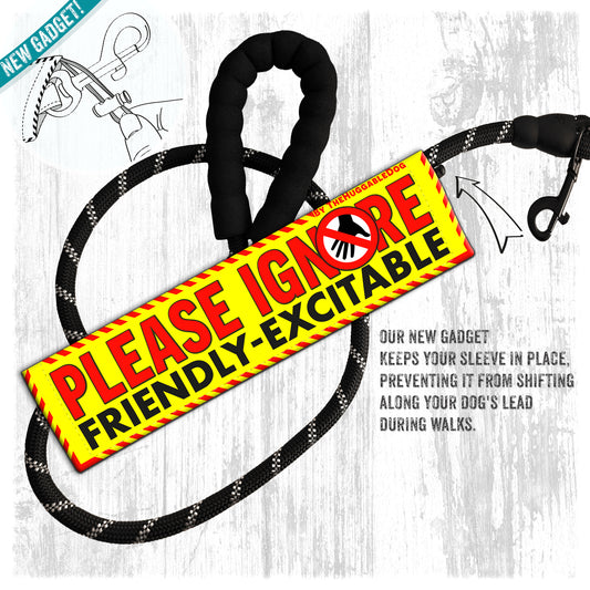 202-"Please ignore, FRIENDLY-excitable".