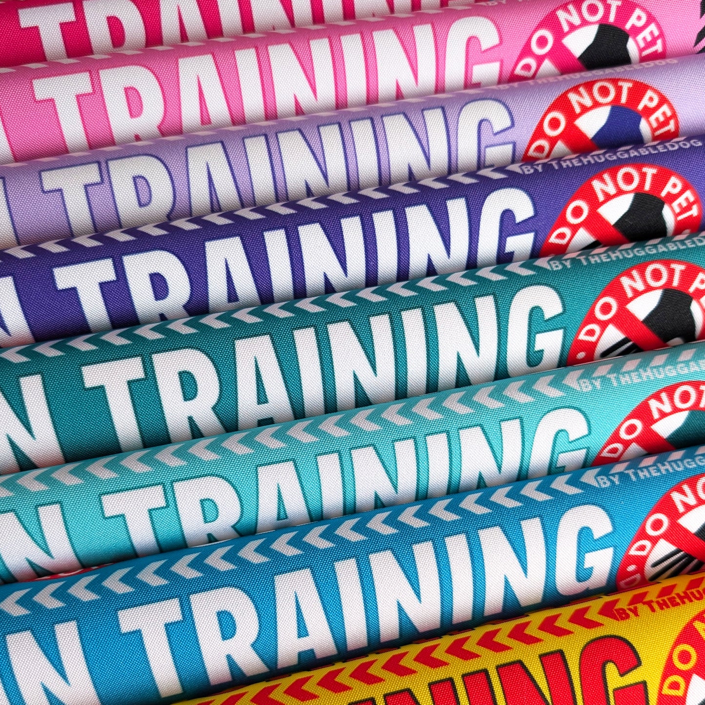 20-"In TRAINING, please ignore".