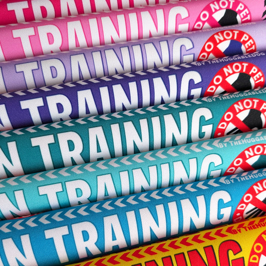 20-"In TRAINING, please ignore".