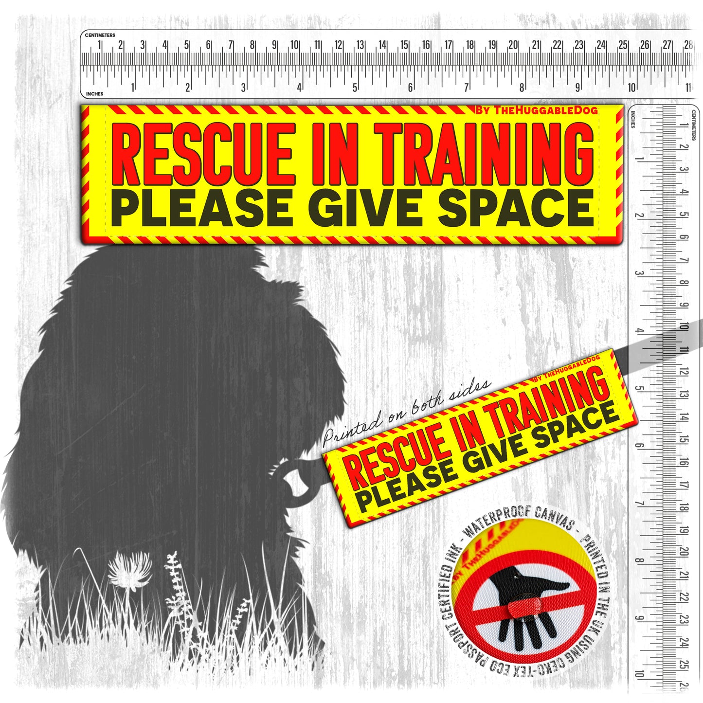 21-"RESCUE In TRAINING, please give space".