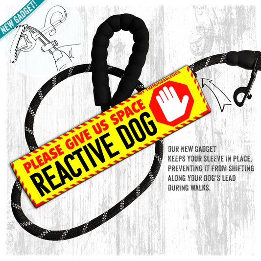 22-"Please give us space, REACTIVE dog".