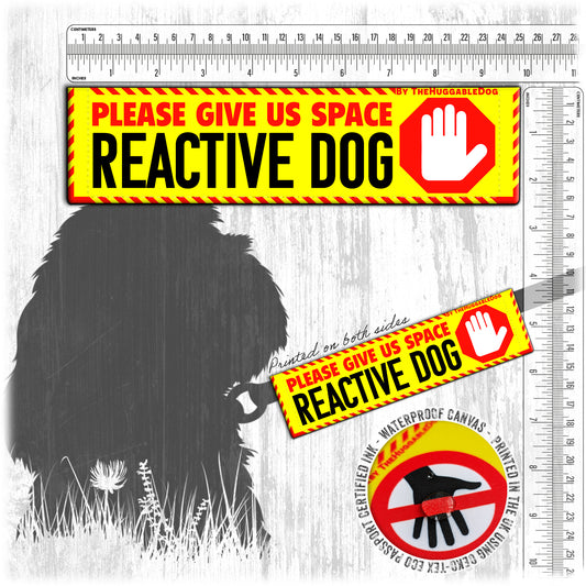 22-"Please give us space, REACTIVE dog".