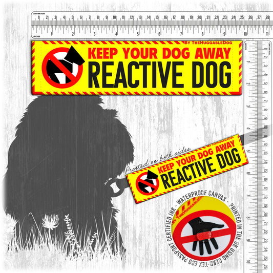 23-"Keep your dog away, REACTIVE dog".
