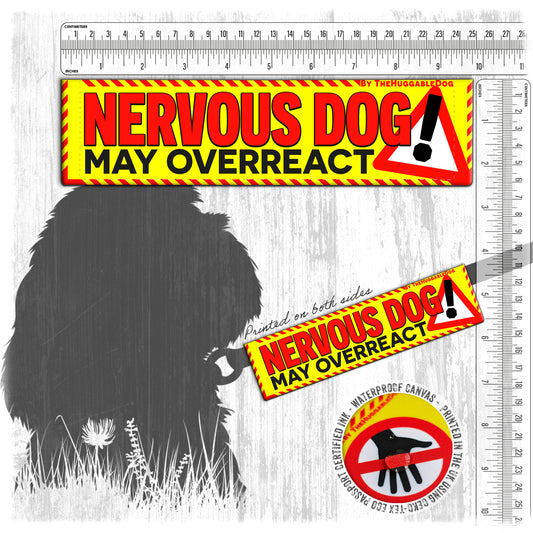 28-"NERVOUS DOG, may overreact".