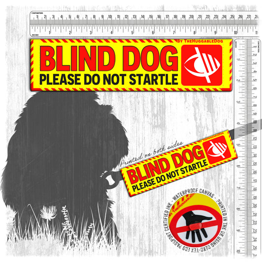 31-"BLIND dog, please do not startle".