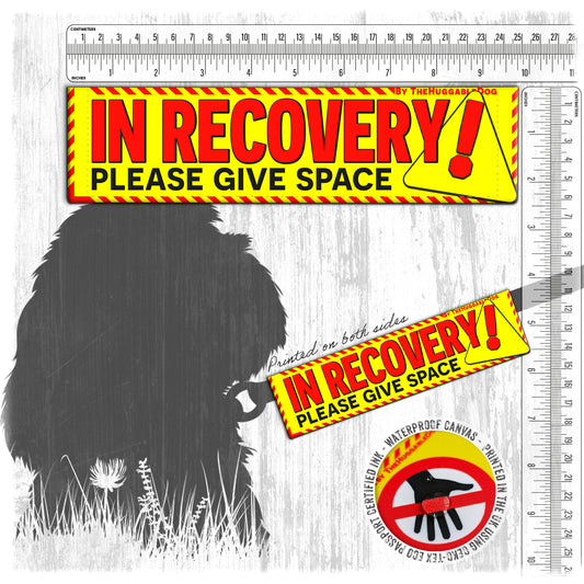 32-"IN RECOVERY, please give space".