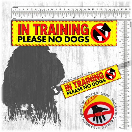 "IN TRAINING, please no dogs".