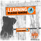 "LEARNING, please IGNORE", do not pet. Dog training Leash sleeves.