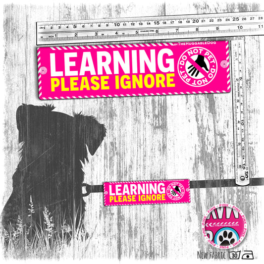 "LEARNING, please IGNORE", do not pet. Dog training Leash sleeves.