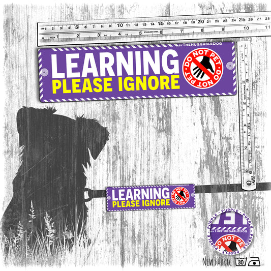 "LEARNING, please IGNORE", do not pet. Dog training Leash sleeves.