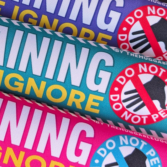 20-"In TRAINING, please ignore".