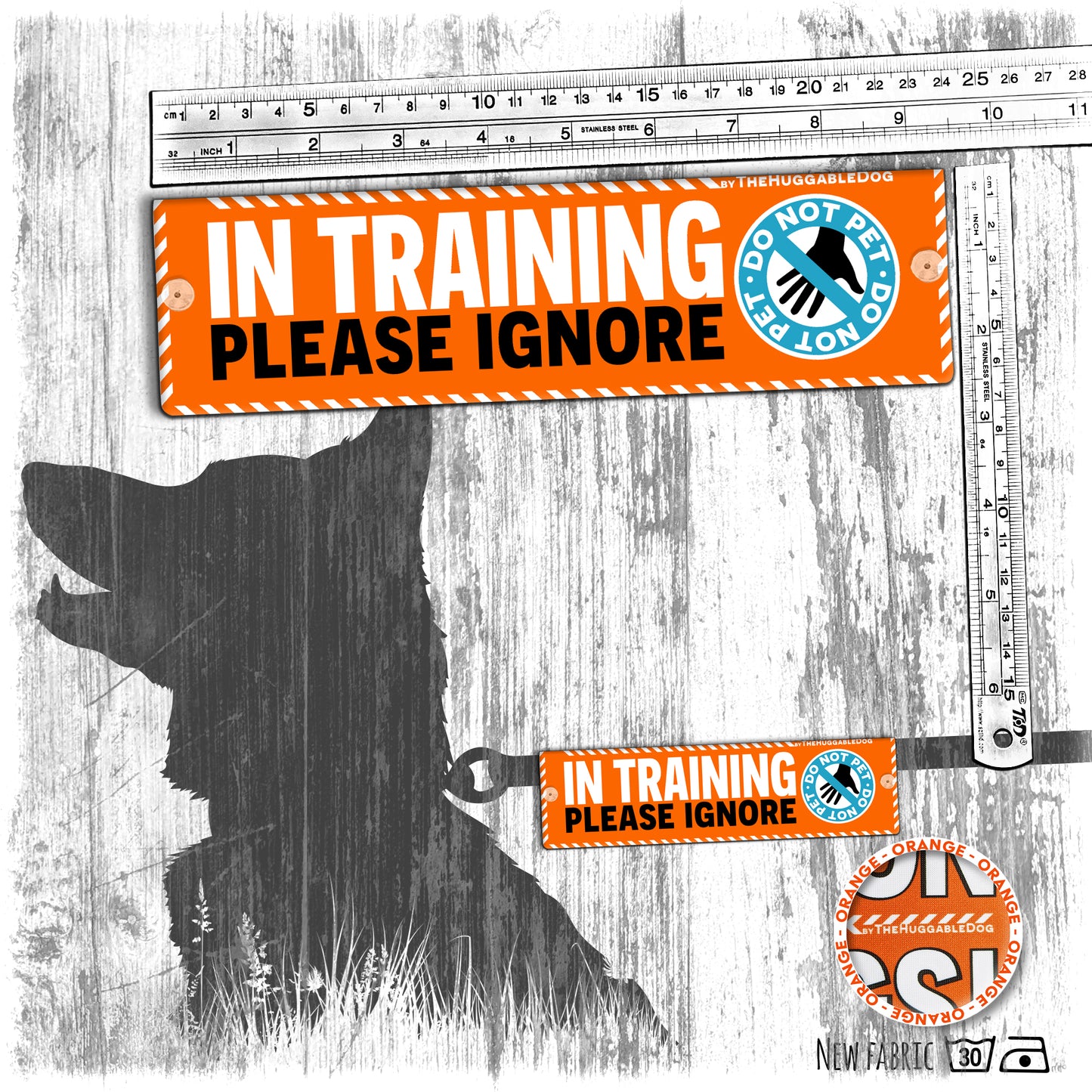"IN TRAINING, please IGNORE", do not pet. Training Leash sleeves.