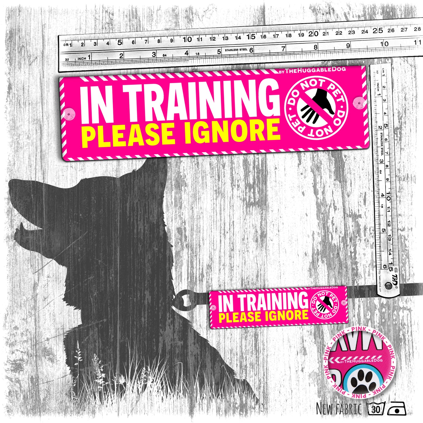"IN TRAINING, please IGNORE", do not pet. Training Leash sleeves.