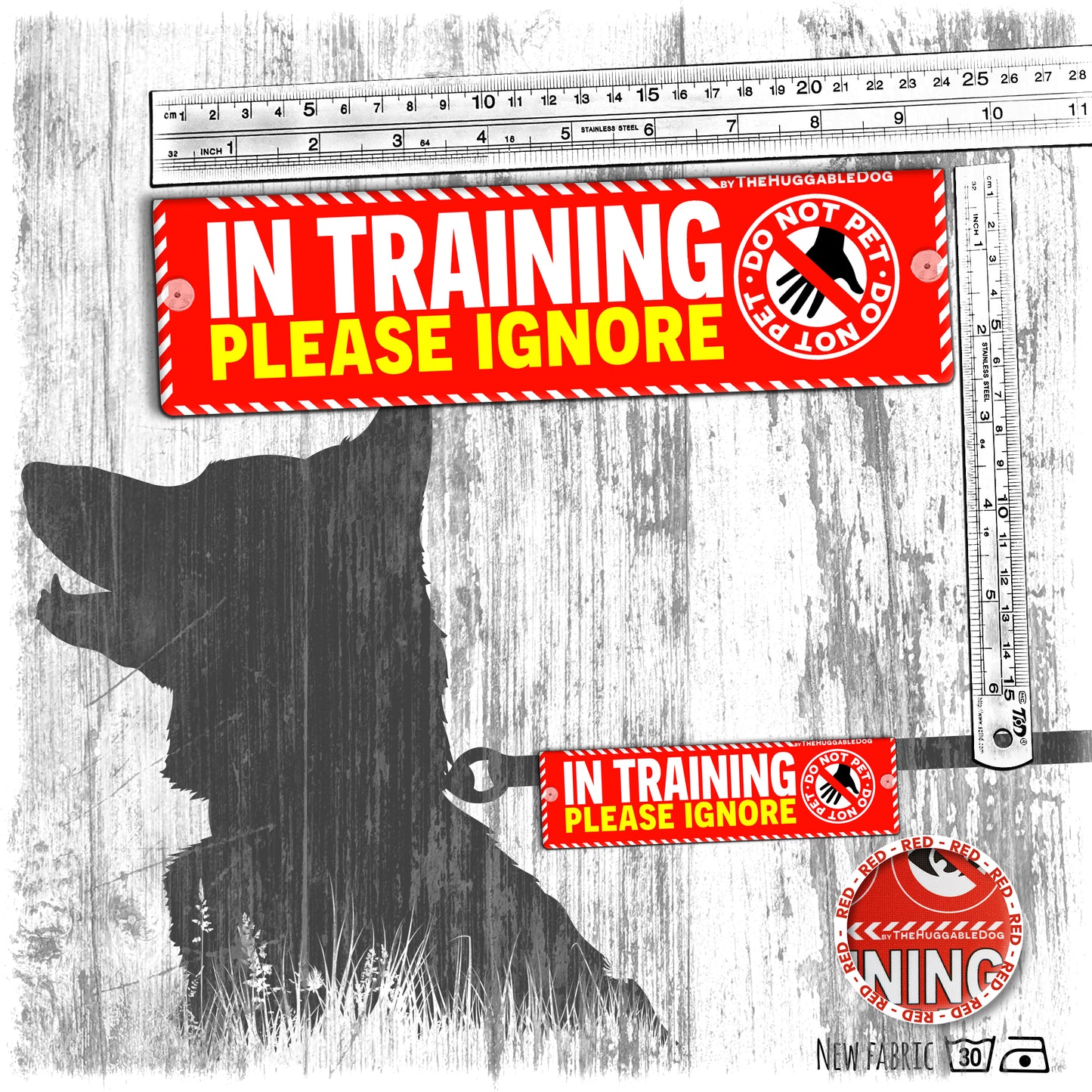 "IN TRAINING, please IGNORE", do not pet. Training Leash sleeves.