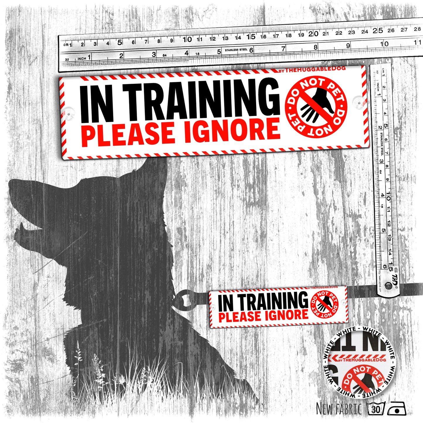 "IN TRAINING, please IGNORE", do not pet. Training Leash sleeves.