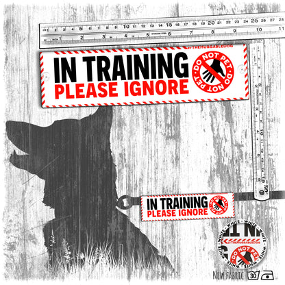 "IN TRAINING, please IGNORE", do not pet. Training Leash sleeves.